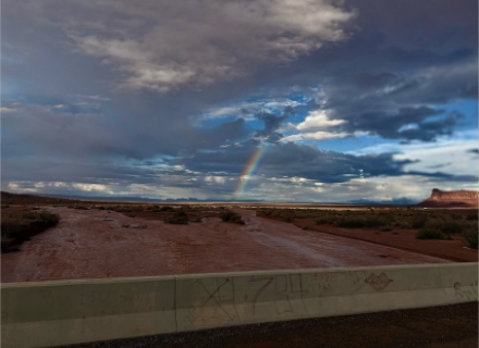 Oljato wash after the storm. Joyce Fatt photo 