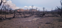 Fire damage in the North Cottonwood area submitted by Gabe Clarke