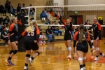 Monticello Volleyball celebrates a point win against Whitehorse at Senior Night. Anna Fredericks photo
