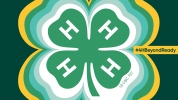 4H is beyond ready!