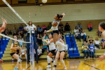 Brooke Pehrson photo