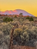 Two bucks enjoy a sunset on the Abajo Mountains. Karly Perkins photo