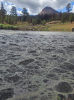 This is not a puddle. It’s an old mine in Mormon Pasture. Merry Palmer photo