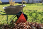 Fall Yard Work. Courtesy photo